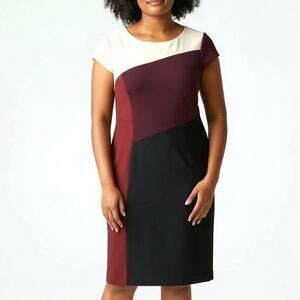 WHBM Size 10 Color-Block Sheath Dress Cream Burgundy Black Cap Sleeve Chic